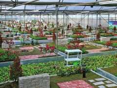 嘉兴职业技术学院园艺技术专业的3个培养计划