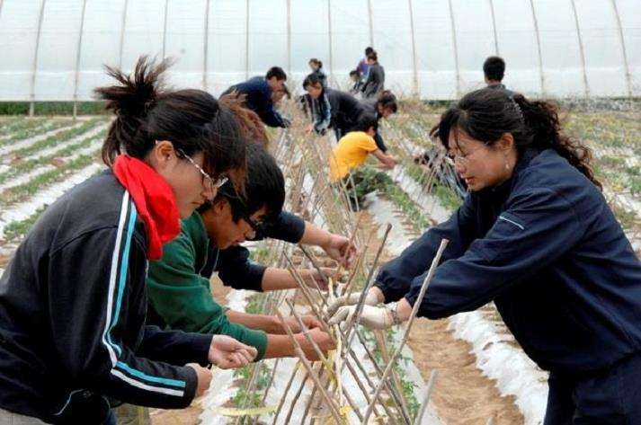 园林职业教育师资培养存在的4个问题