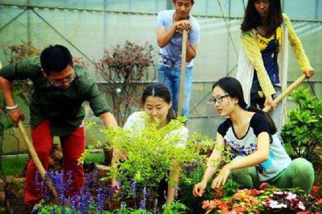 园林职业教育师资培养存在的4个问题