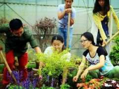 职业教育师资创新能力培养的四大瓶颈：以嘉兴职院园艺专业为例