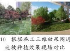 三维虚拟技术在园林植物种植节点质量控制中的应用与实践