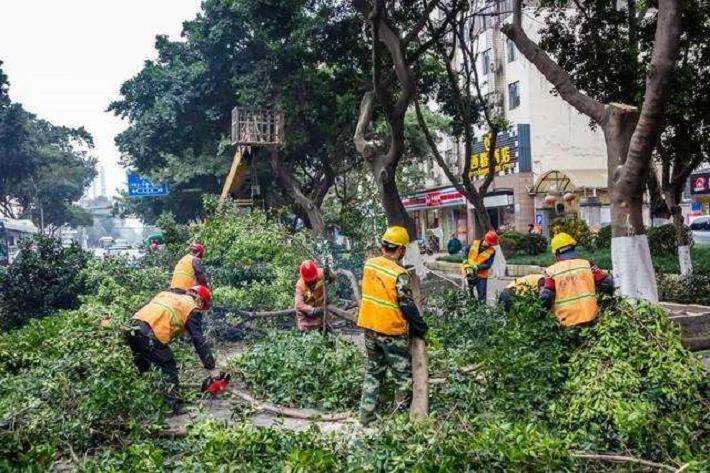 兰州园林绿化废弃物资源化利用的6个策略