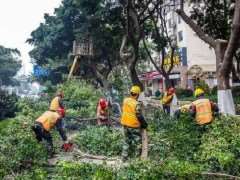 兰州园林绿化废弃物资源化利用的6个策略