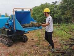 兰州园林绿化废弃物利用存在的3个问题