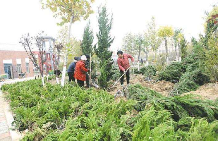 兰州园林绿化废弃物的5个类别及属性