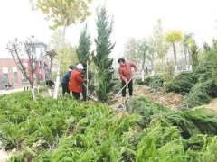 兰州园林绿化废弃物的5个类别及属性