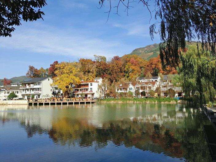 指南村风水林保护与应用的3个研究