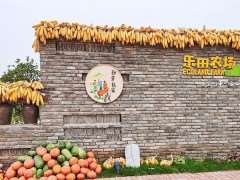 农业嘉年场馆的5个主题定位与实践研究