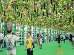 农业嘉年华中主题场馆的2个作用