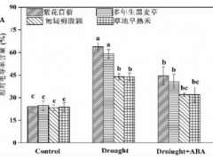 外源ABA对干旱胁迫下4种园林地被植物形态的影响