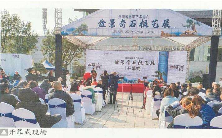 2021 贵阳盆景艺术协会