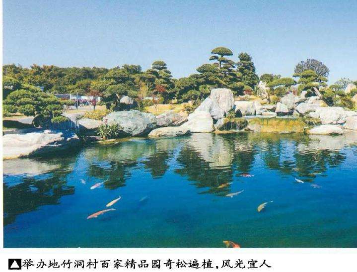 第十三届粵港澳台盆景艺术博览会 图片