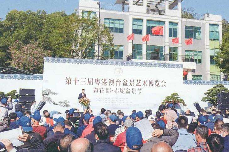 第十三届粵港澳台盆景艺术博览会 图片