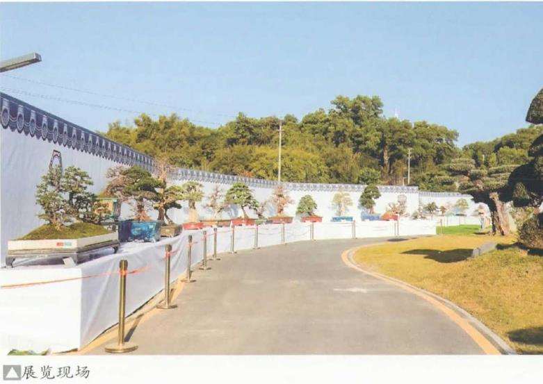 第十三届粵港澳台盆景艺术博览会 图片