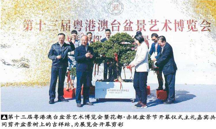 第十三届粵港澳台盆景艺术博览会 图片