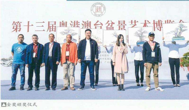 第十三届粵港澳台盆景艺术博览会 图片