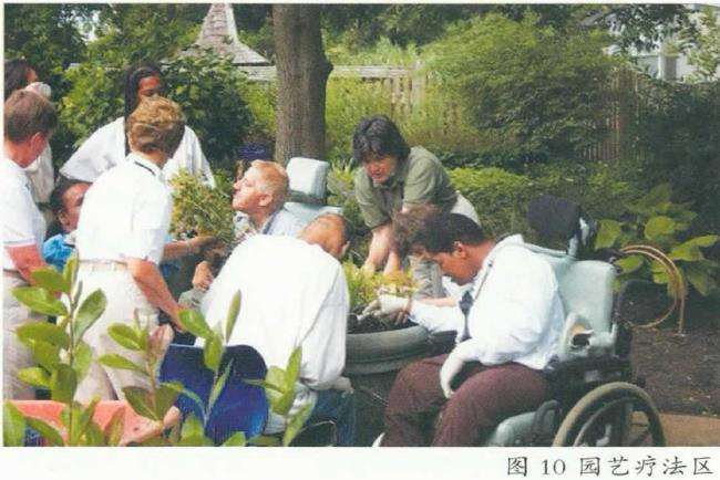 伊丽莎白及诺娜埃文斯康复花园的3个互动体验