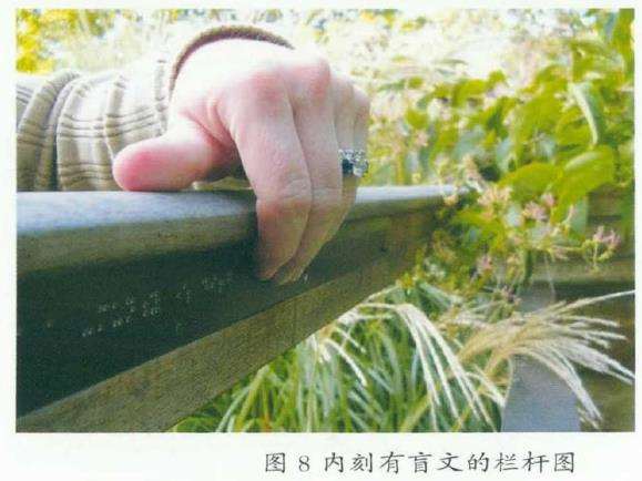 伊丽莎白及诺娜埃文斯康复花园的3个互动体验