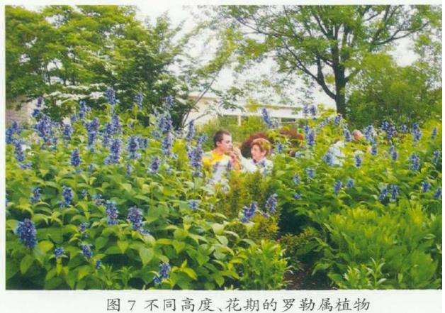 伊丽莎白及诺娜埃文斯康复花园的3个互动体验