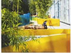 互动体验式园林设计与康复景观