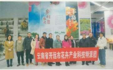 开远花卉科技特派团助力三农