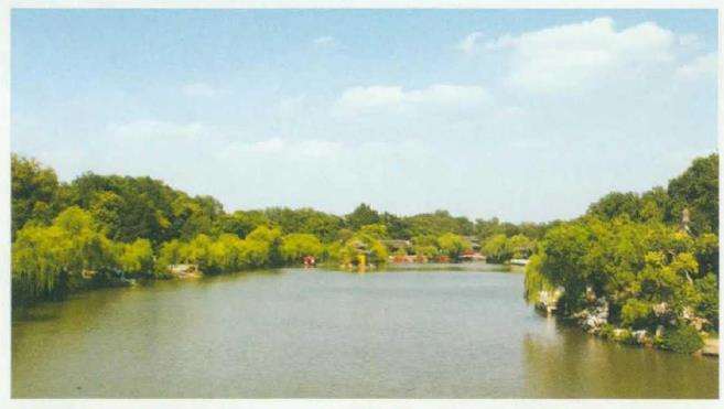 古典园林景区柳树整形修剪存在的5个问题