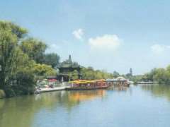 古典园林景区柳树整形修剪存在的5个问题