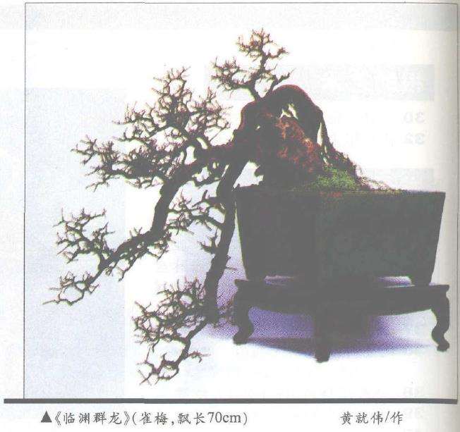 就盆景产生动感的几种情形分析于下 图片