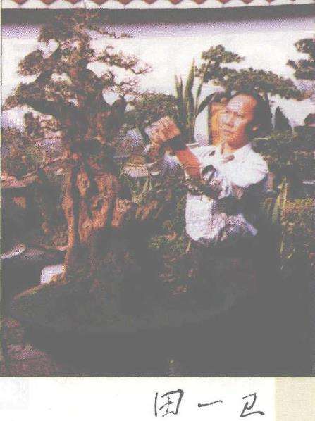 重庆盆景技师 田一卫 图片