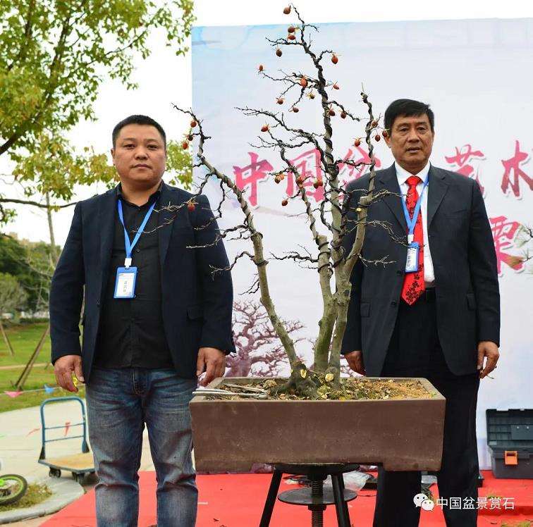 江苏盆景艺术家 虞昌龙逝世