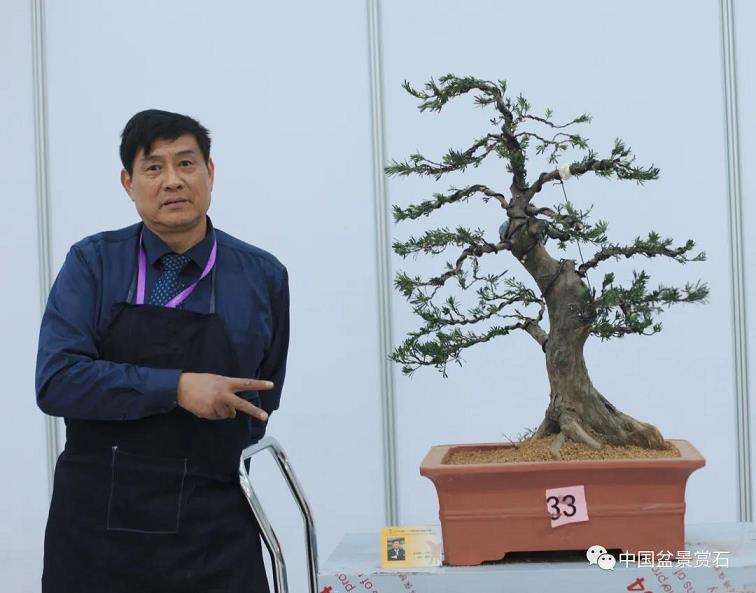 江苏盆景艺术家 虞昌龙逝世