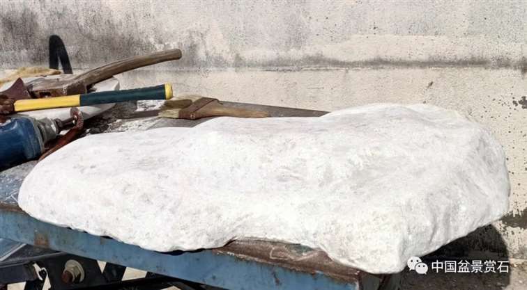 图解 姜文华怎么制作榆树山石盆景的15个步骤