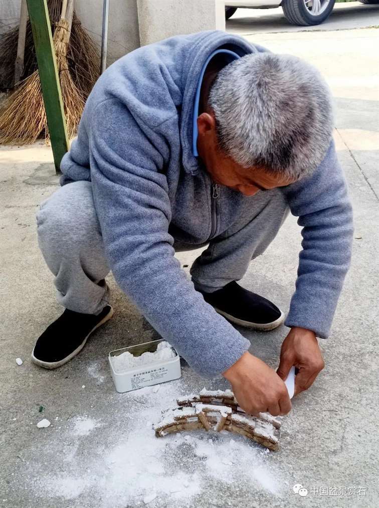 图解 姜文华怎么制作榆树山石盆景的15个步骤