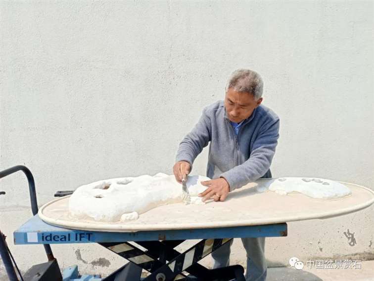 图解 姜文华怎么制作榆树山石盆景的15个步骤