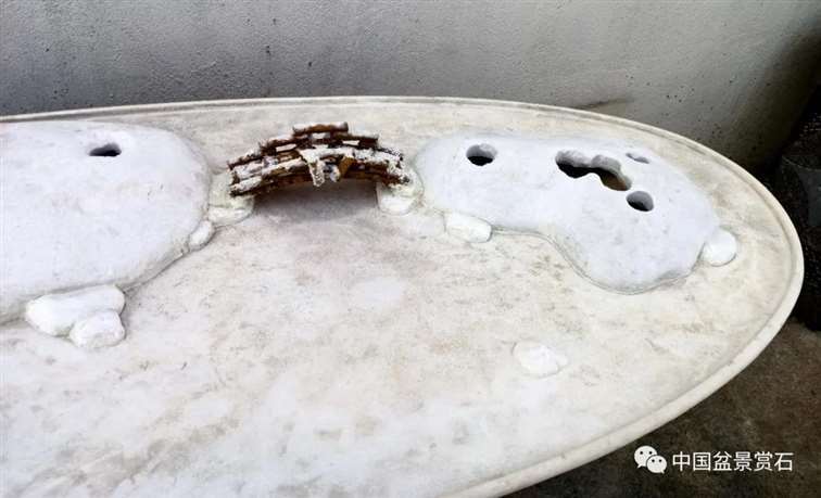 图解 姜文华怎么制作榆树山石盆景的15个步骤