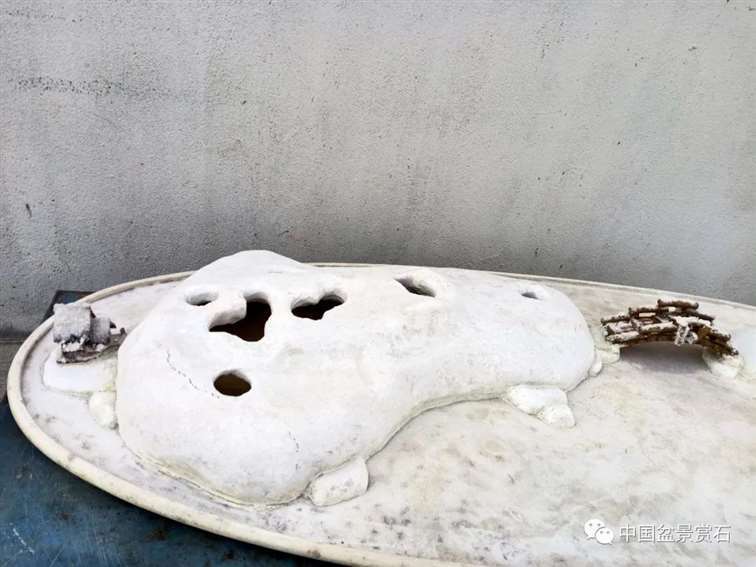 图解 姜文华怎么制作榆树山石盆景的15个步骤