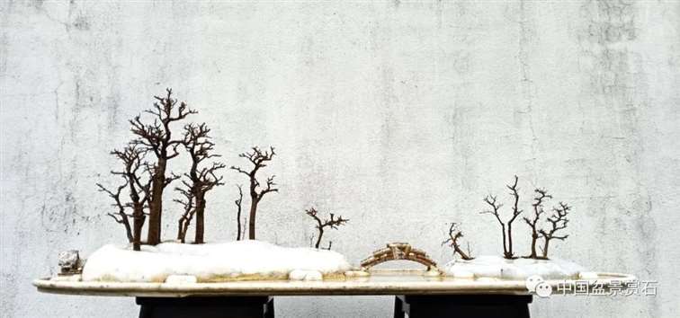 图解 姜文华怎么制作榆树山石盆景的15个步骤
