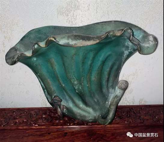 一个普通人眼中的岭南盆景创作技法