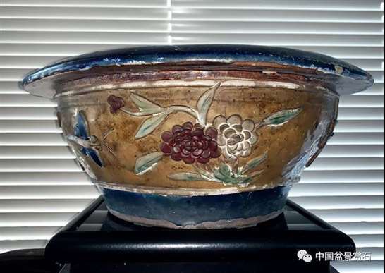 一个普通人眼中的岭南盆景创作技法