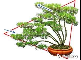 观盆景大师王如生的黑松《踏歌寻友》有感