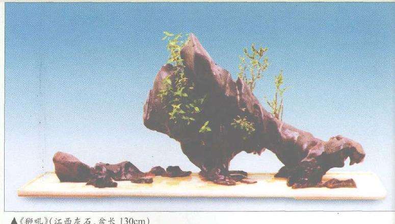 上海盆景协会名誉副会长 殷子敏