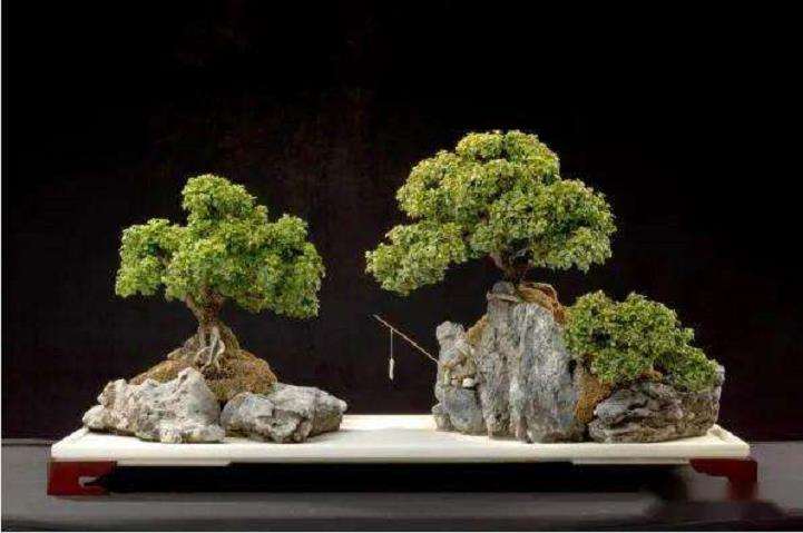 我家的窗台上摆放着一盆别致的山水盆景