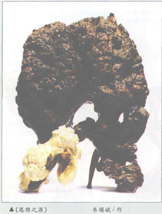 什么是根艺的自然美 图片