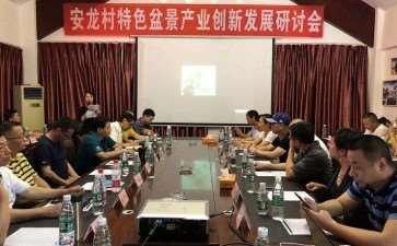 盆景专家一行查看安龙村盆景基地