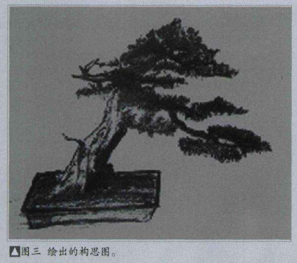 图解 樊顺利改作一棵台湾真柏盆景