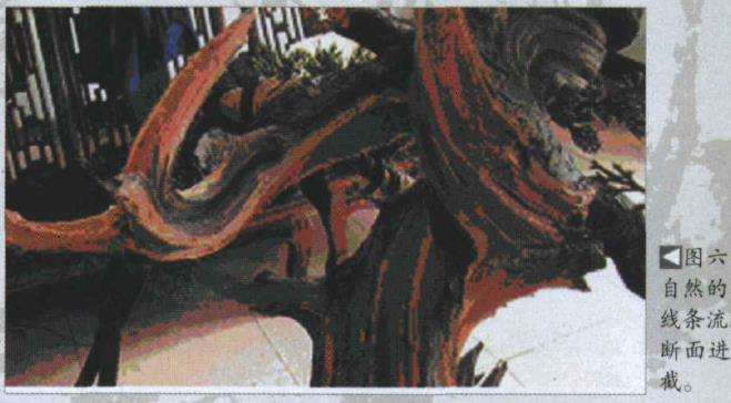 图解 樊顺利改作一棵台湾真柏盆景