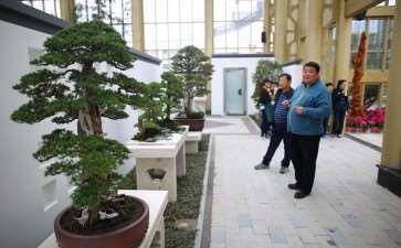 钟祥市第八届花木盆景件展 图片