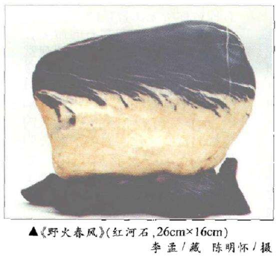 赏石艺术是最具东方文化特色的艺术之一1