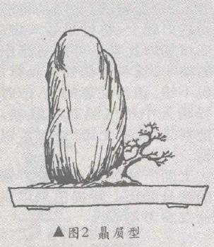 天然附石型盆景有哪3类 图片