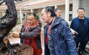 三大国际盆景组织负责人将来考察中国盆景